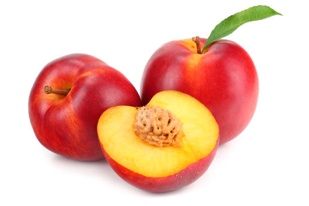 Nectarine Yellow Each