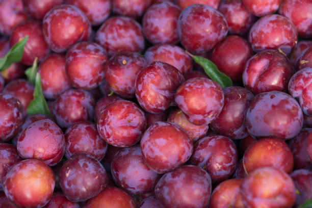 Plums 1kg