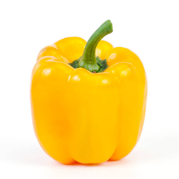 Capsicum Yellow Each
